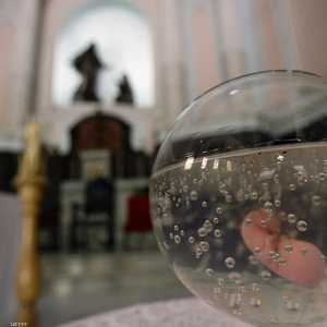 نموذج لمشيمة بشرية (أرشيف)