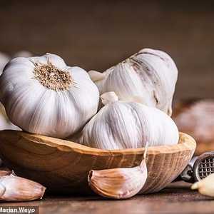 الثوم استُخدم في العلاج قبل آلاف السنين