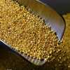 روسيا تنتج نحو 10 بالمئة من الذهب عالميا