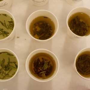 الشاي الأخضر ساخنا أو باردا له فوائد عدة.