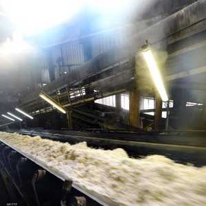 صورة أرشيفية للب بنجر السكر