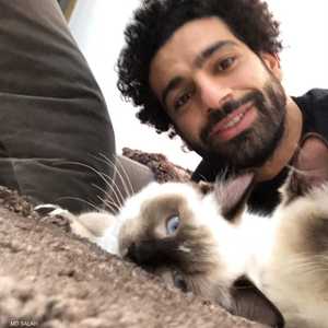 صلاح مع القطط