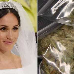 ماركل و"الحشيش"