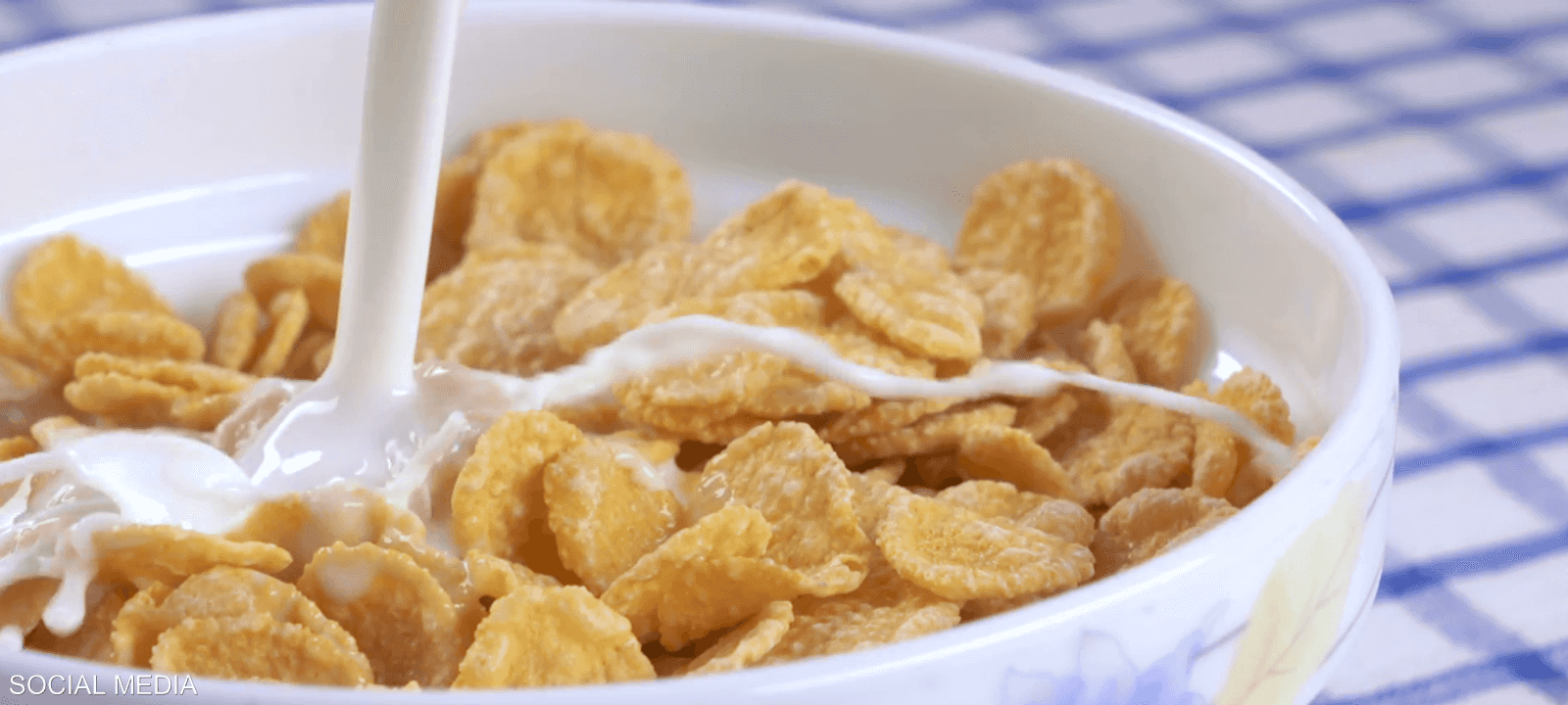 الرقائق غالبا ما تكون غنية بالسكريات