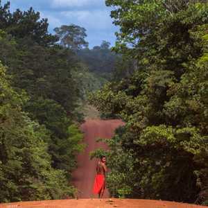 تمثل غابات الأمازون بيئة طبيعية للسكان الأصليين