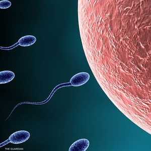 تلوث الهواء يصيب خصوبة الرجال في مقتل