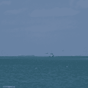 تضمن التدريب تنفيذ تشكيلات إبحار لاتخاذ الأوضاع الهجومية