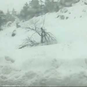 نورما تصل ذروتها في بلاد الشام