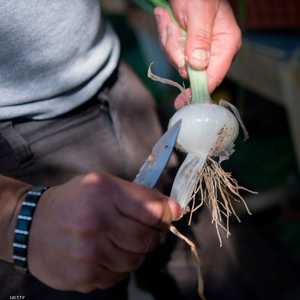 فوائد لا تحصى لقشر البصل