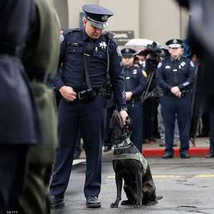 الشرطة تمكنت من اعتقال مشتبه فيه بجريمة منذ التسعينات.