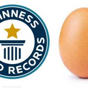 غينيس تهنئ البيضة