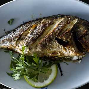 السمك مفيد للراغبات بالحمل