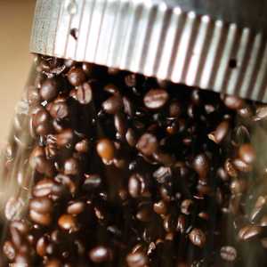 البن العربي مهدد بالانقراض