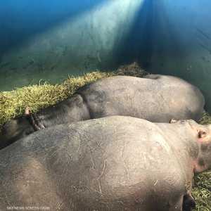 الرحلة انطلقت من جوهانسبرغ إلى القاهرة