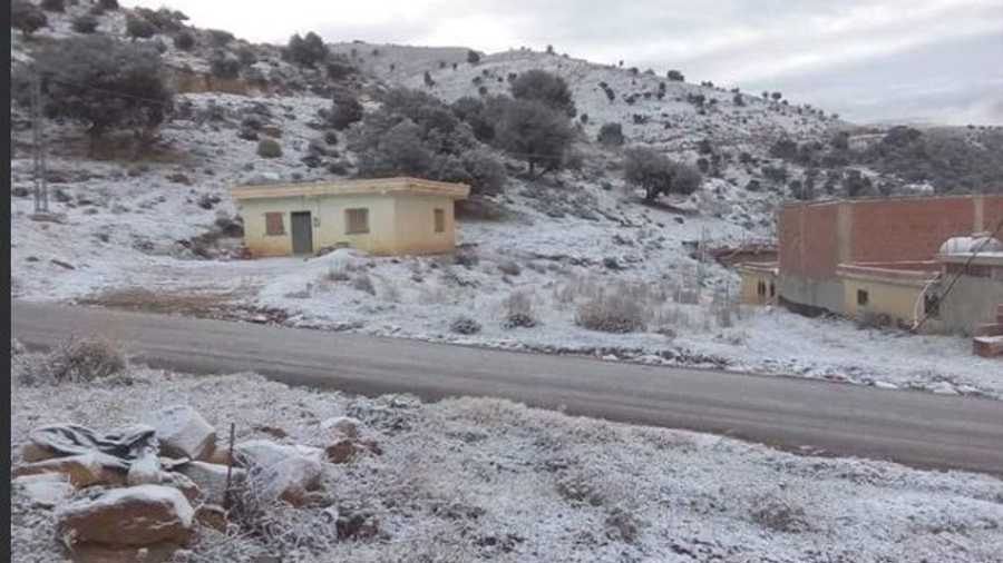 وعادة ما تتساقط الثلوج على الجزائر في يناير من كل عام.
