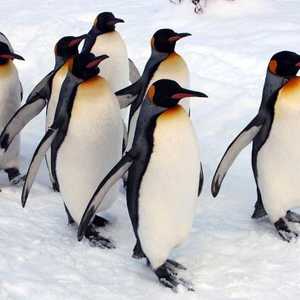 الاحتباس الحراري يتسبب في كوارث على الأرض