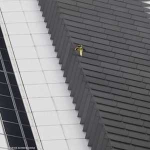 مغامرة جديدة لـ"الرجل العنكبوت"