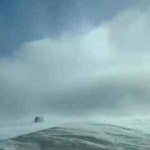 دوامة قطبية