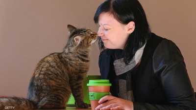 القطط قد تزيد خطر الإصابة بالاضطرابات العقلية عند الإنسان