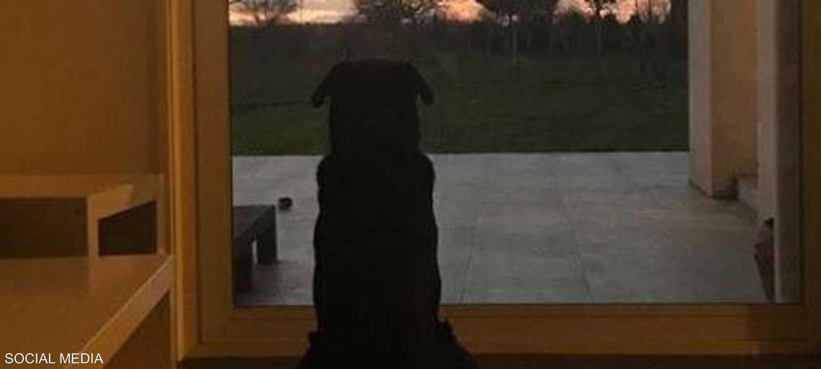 اختفت آثار سالا في 21 يناير الماضي.