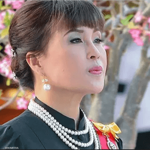 ترشح الأميرة يشكل ضربة لآمال الجيش