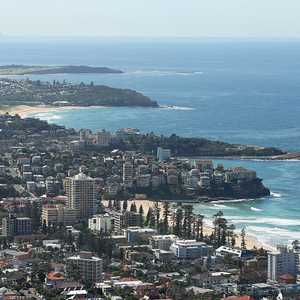 قدم معارضو السياسة مشروع قانون لتعديل قوانين الهجرة