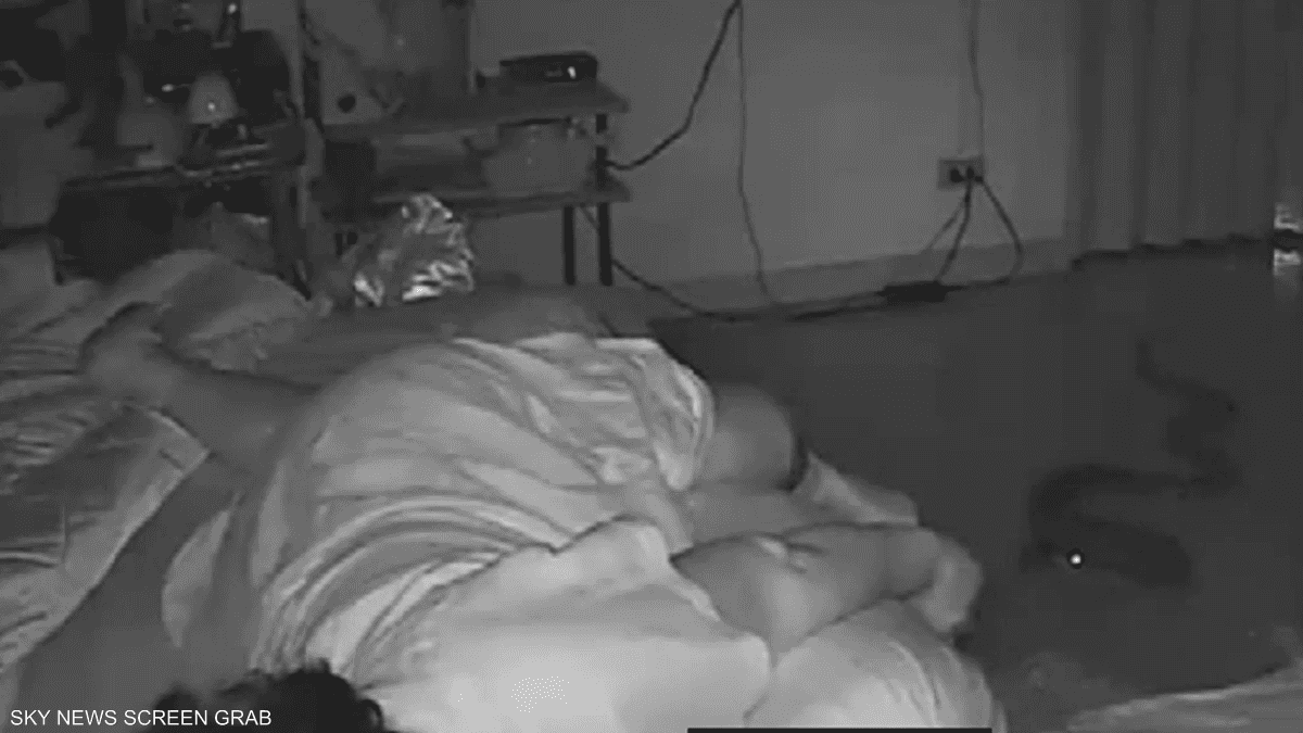 ثعبان يلدغ سيدة بعد التسلل إلى شقتها