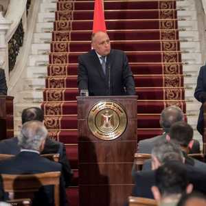 وزراء خارجية مصر وتونس والجزائر