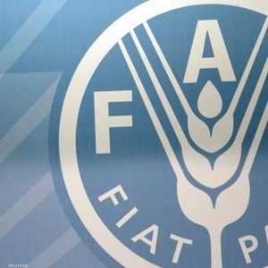 برغم ارتفاع اسعار الغذاء إلا أنها أقل من مستويات 2018