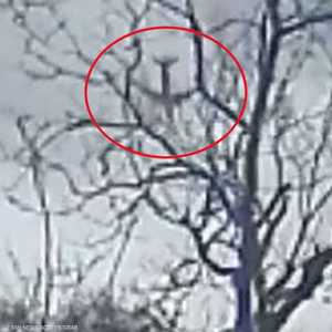 لحظات قبل تحطم طائرة في تكساس