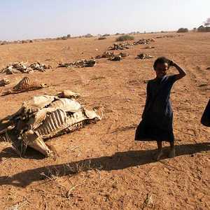 ارتفعت أعداد المواطنين المعرضون لخطر المجاعة