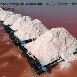 يجب مراعاة كمية الملح في الطعام