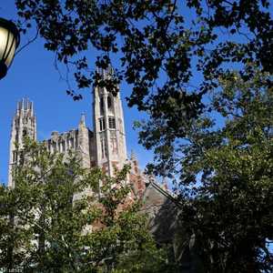 إحدى الجامعات الأميركية الكبرى