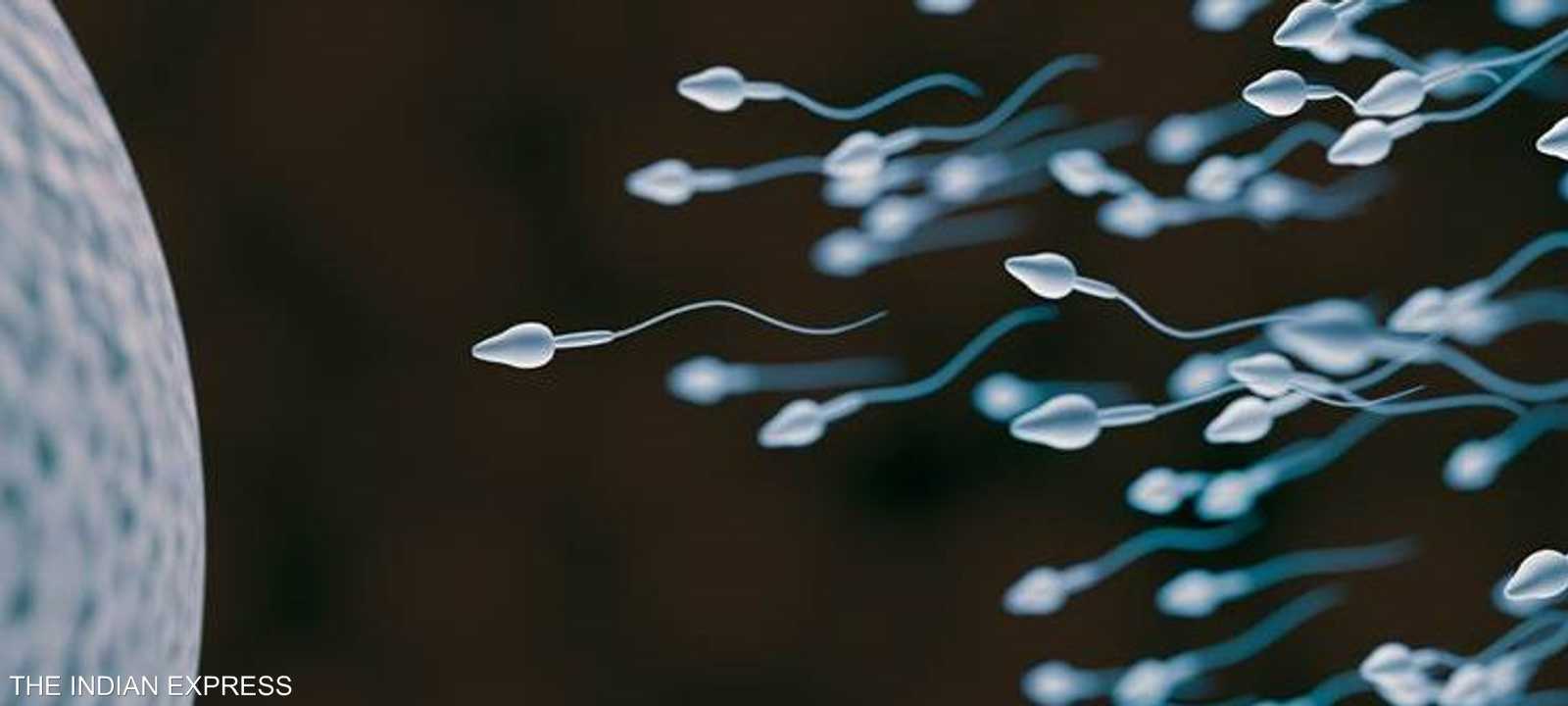 دراسة تصحح خطأ الخصوبة