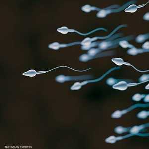 دراسة تصحح خطأ الخصوبة