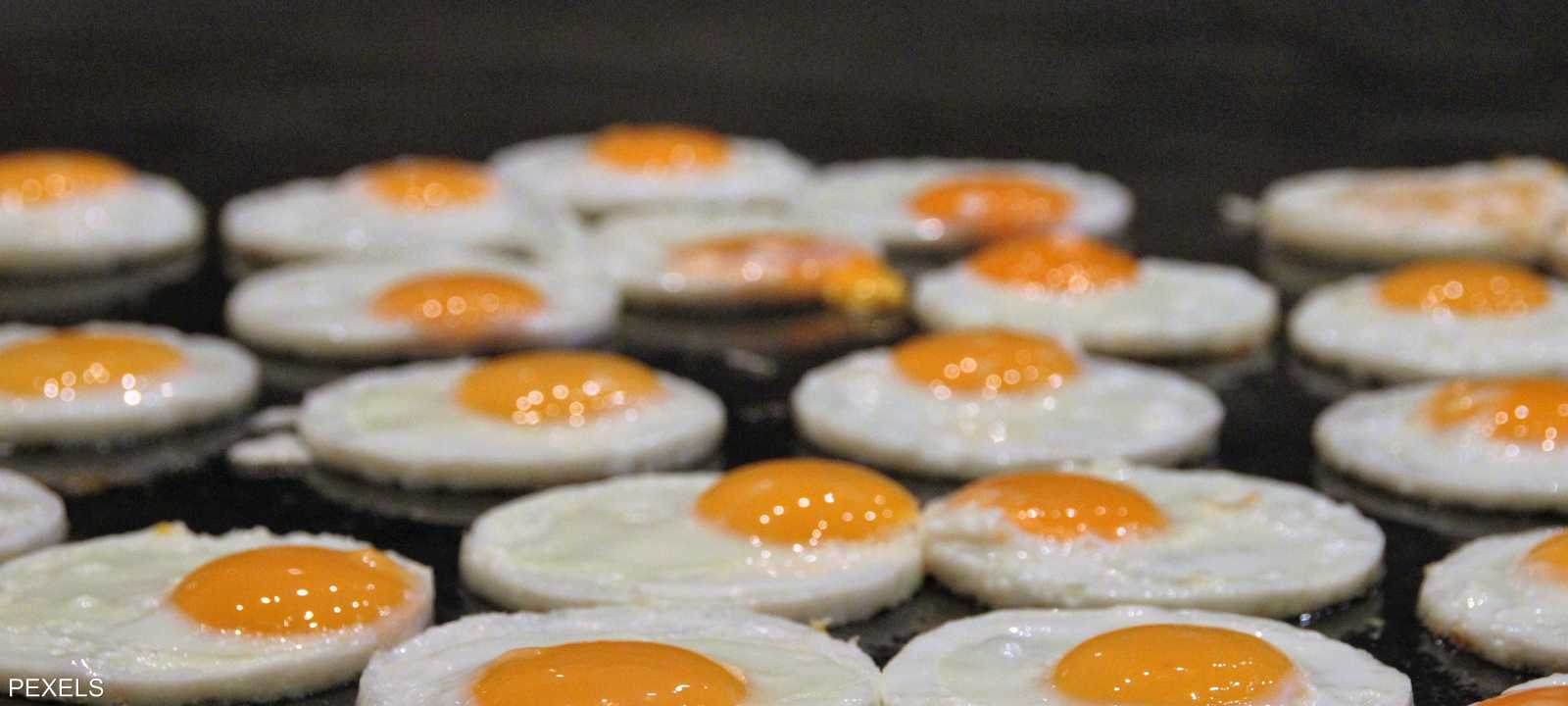 دراسات عدة تناولت فوائد وأضرار تناول البيض