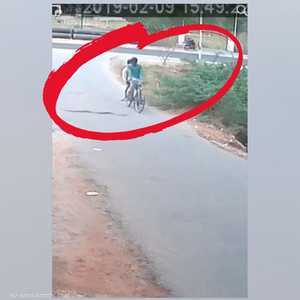 كوبرا تهاجم دراجة هوائية