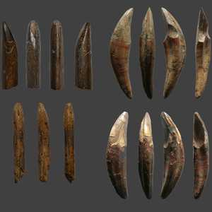 أدوات من عظام قردة استخدمها الإنسان المعاصر