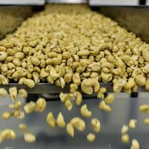 المكسرات مفيدة لصحة العقل