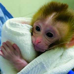 التجربة أجريت في الولايات المتحدة