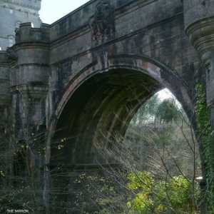 مئات الحيوانات قفزت عن جسر أوفرتون في اسكتلندا