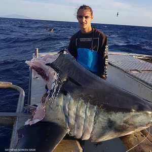 رأس السمكة التي اصصادها الأسترالي براتمان