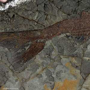 الموقع يقع في ولاية نورث داكوتا