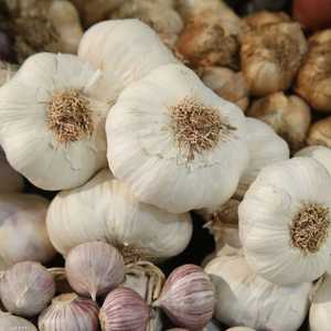 يمكن الاعتماد على الثوم لخفض ارتفاع ضغط الدم