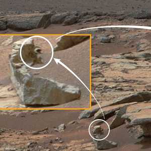ماذا يفعل هذا البطريق على كوكب المريخ وكيف وصل هناك