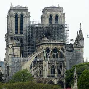 صورة لكاتدرائية نوتردام