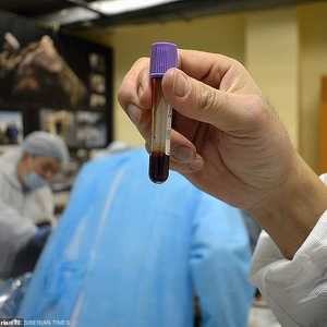 تم أخذ عينات من دمه السائل والاحتفاظ بها لمدة 42 ألف سنة