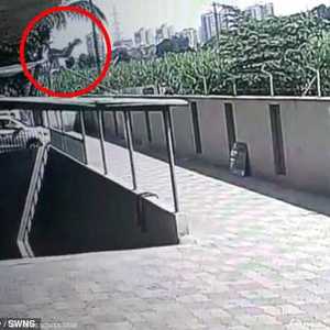 سقطت من الطابق 12 وعاشت