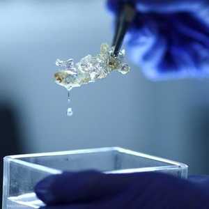 الإنجاز سيمهد الطريق أمام طباعة أعضاء فعالة ثلاثية الأبعاد