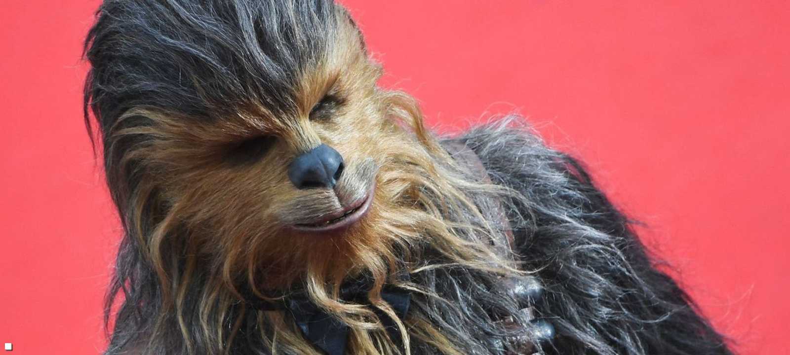 تشوباكا إحدى الشخصيات الأساسية في حرب النجوم